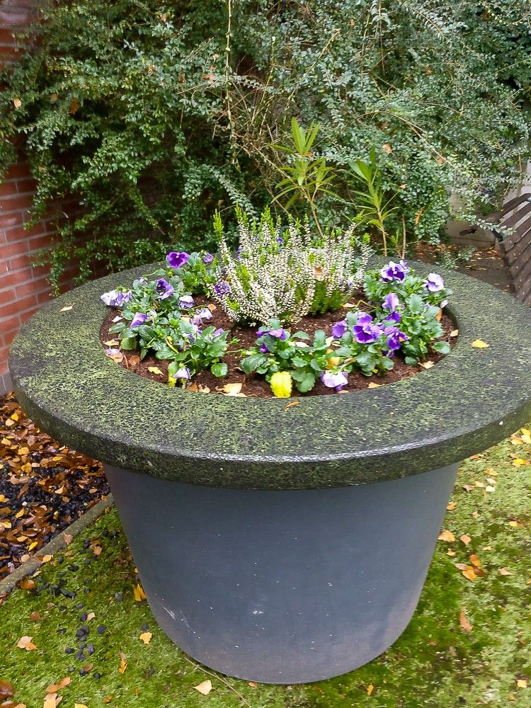 Tuin Convivio
