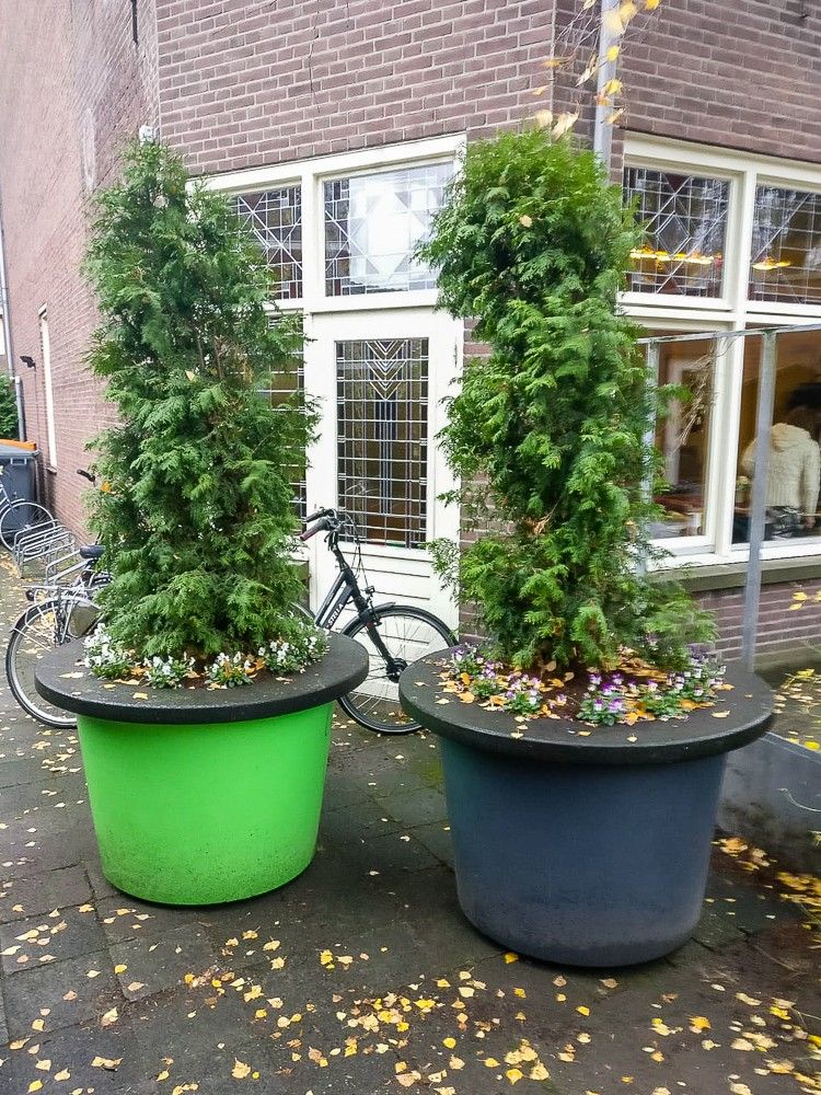 Tuin Convivio